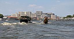 Chaopraya River Bangkok_3641.JPG
